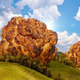 Illustration for article titled BBQ Cauliflower outshines everything else on your grill grates